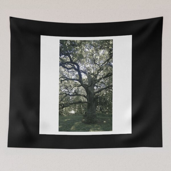 Item preview, The old tree Sleeveless Top designed and sold by fronktcstoot.