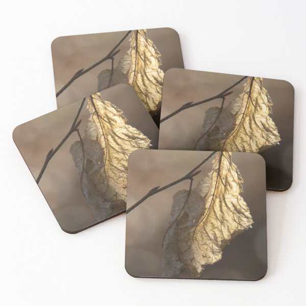 Item preview, Dead Leaf on a Twig designed and sold by Calidris Fotografie Steffi & Ben Köppler.