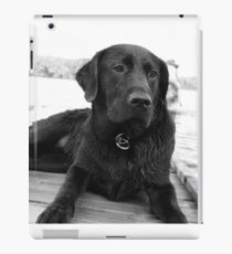 Black Lab iPad Case/Skin