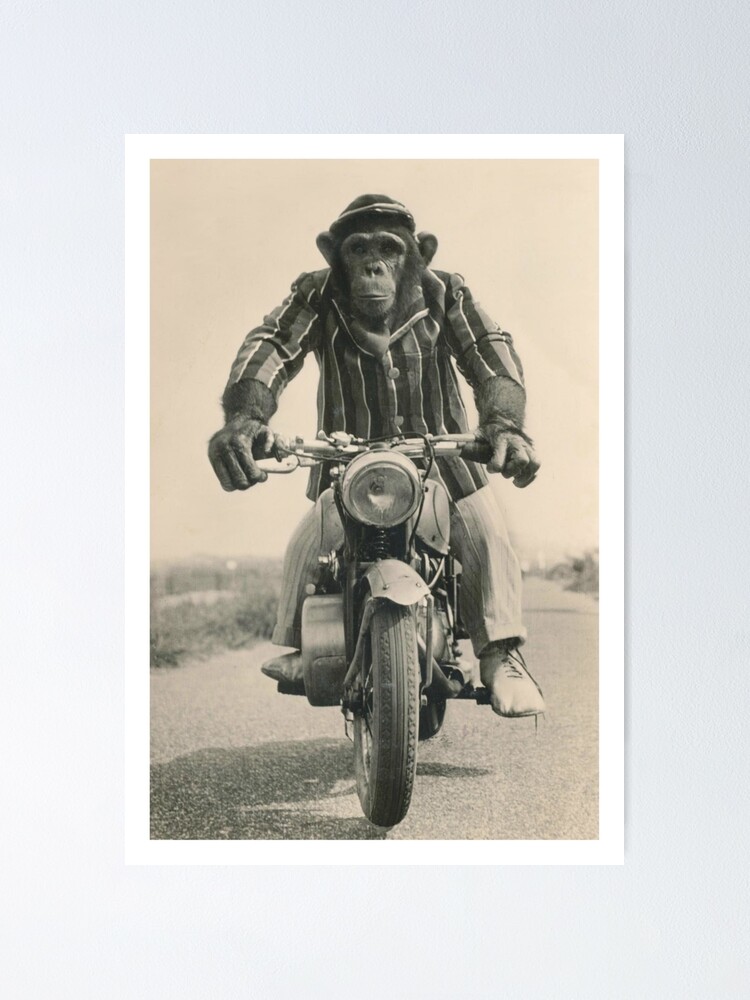 Poster Moto - Homme - Rétro - Jaune - 30x30 cm - Cadeau Vaderdag