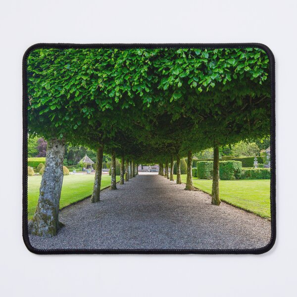 Item preview, Tree Canopy, Italian Garden, Glamis Castle, Scotland designed and sold by Yannik Hay.