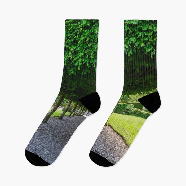 Item preview, Tree Canopy, Italian Garden, Glamis Castle, Scotland designed and sold by Yannik Hay.
