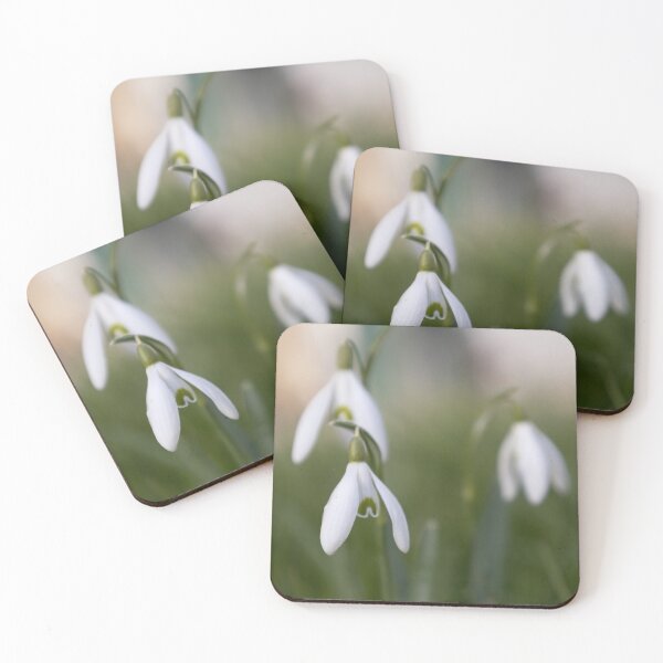 Item preview, Snowdrops designed and sold by Calidris Fotografie Steffi & Ben Köppler.