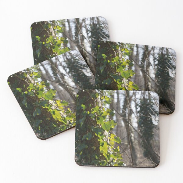 Item preview, Ivy designed and sold by Calidris Fotografie Steffi & Ben Köppler.