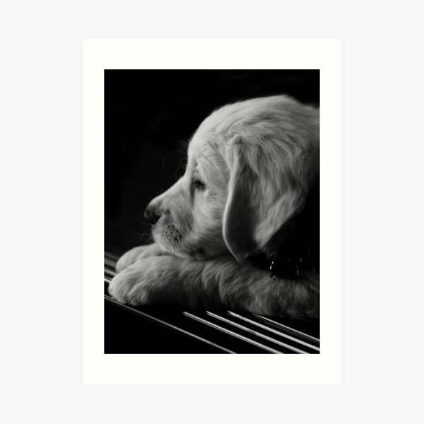 Thinking of You Art Print