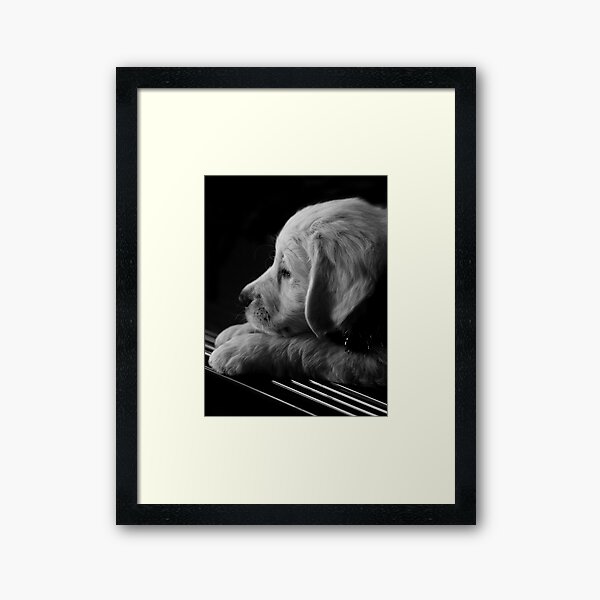 Thinking of You Framed Art Print