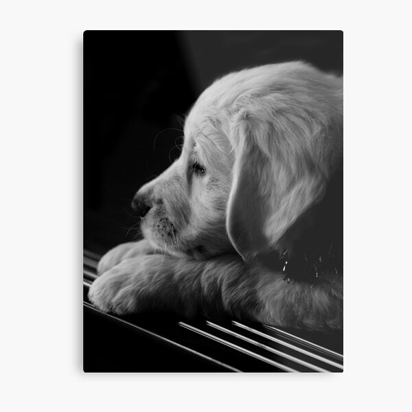 Thinking of You Metal Print