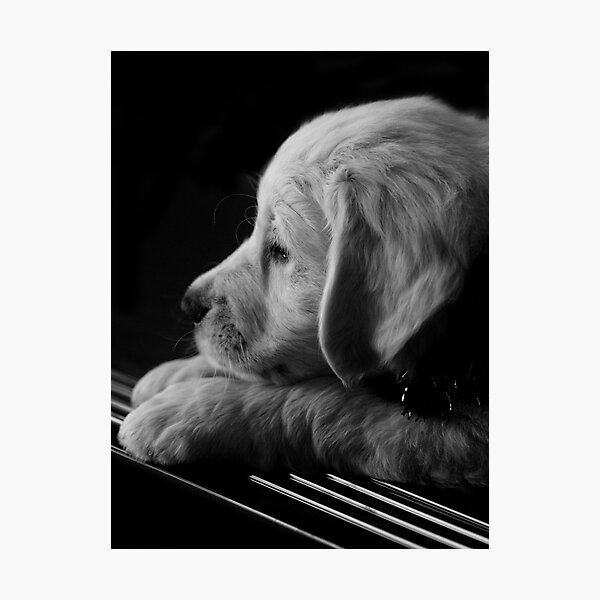 Thinking of You Photographic Print