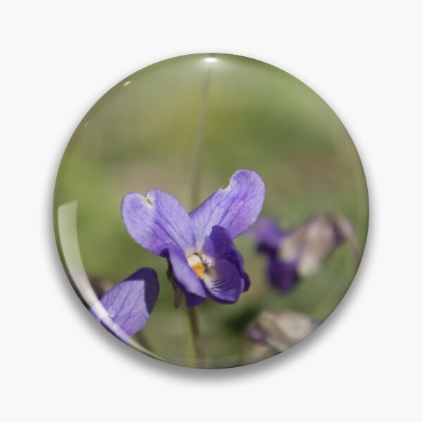 Item preview, Violet designed and sold by Calidris Fotografie Steffi & Ben Köppler.