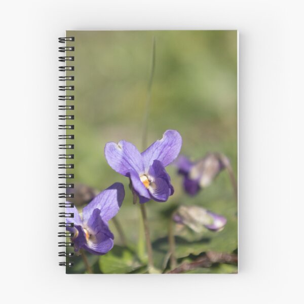 Item preview, Violet designed and sold by Calidris Fotografie Steffi & Ben Köppler.