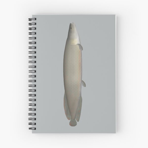 Item preview, Pirarucu designed and sold by fishfolkart.
