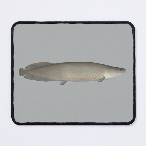 Item preview, Pirarucu designed and sold by fishfolkart.