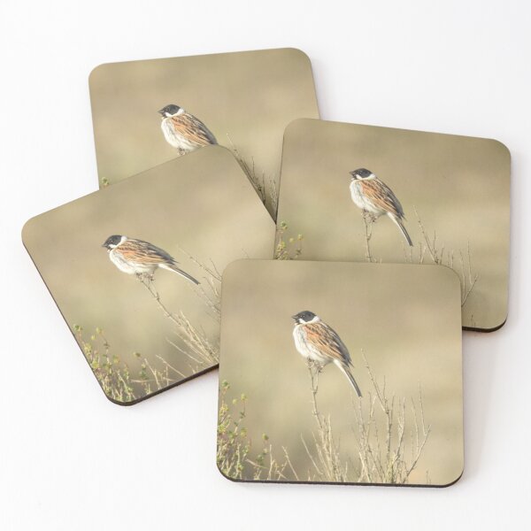 Item preview, Male Reed Bunting perching on twig designed and sold by TwistedClassics.