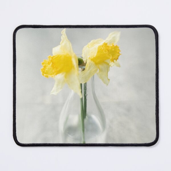 Item preview, Wilted daffodil duo designed and sold by gailgriggs.