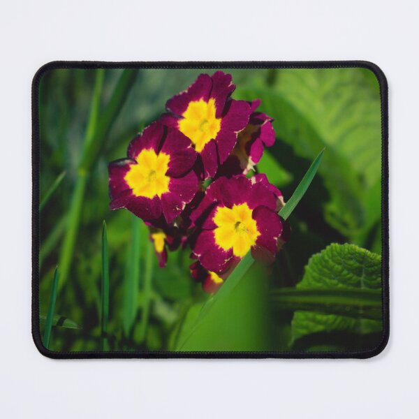 Item preview, It's just a flower designed and sold by Melcu.