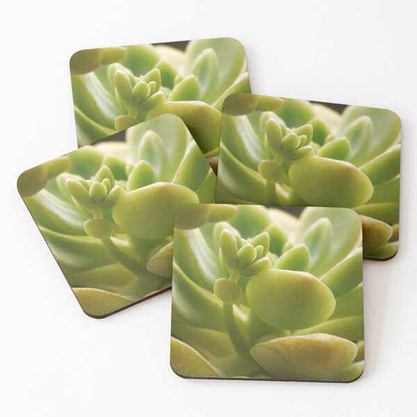 Item preview, Graptoveria Opalina Succulent Macro Photography - Hybrid Succulent designed and sold by WULFLAND ARTS.