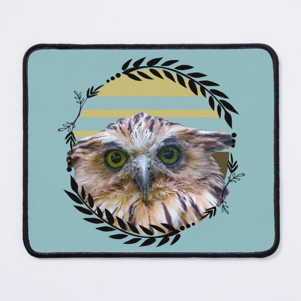 Item preview, Wet Owl with Wreath, Wet Owl Meme, Owl with Books is Gift for Book lover and Birthdays, Winterowl designed and sold by DiensDesign.