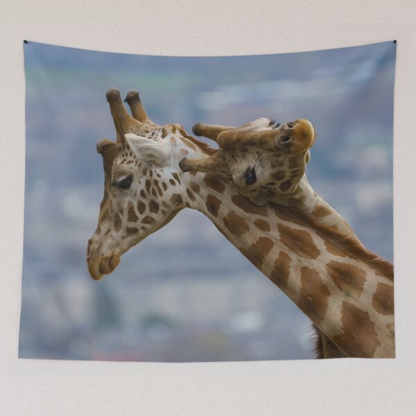 Item preview, Giraffes Neck and Neck designed and sold by rawshutterbug.