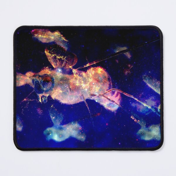 Item preview, Night Riders designed and sold by Space Traveller.