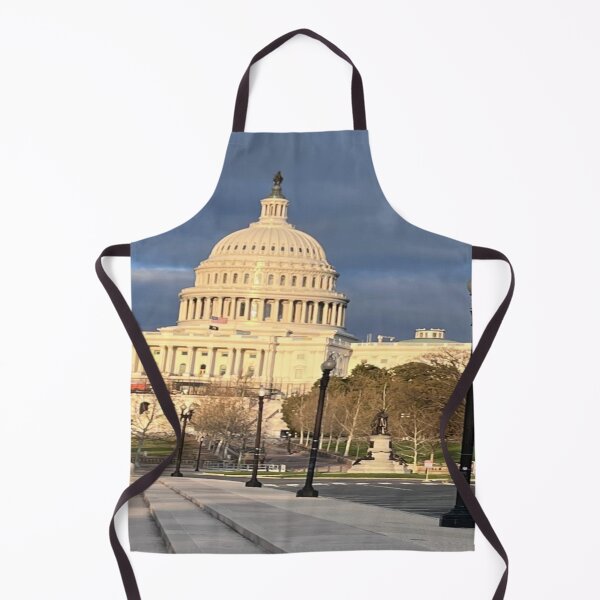 Item preview, Capitol Hill designed and sold by creeper098.
