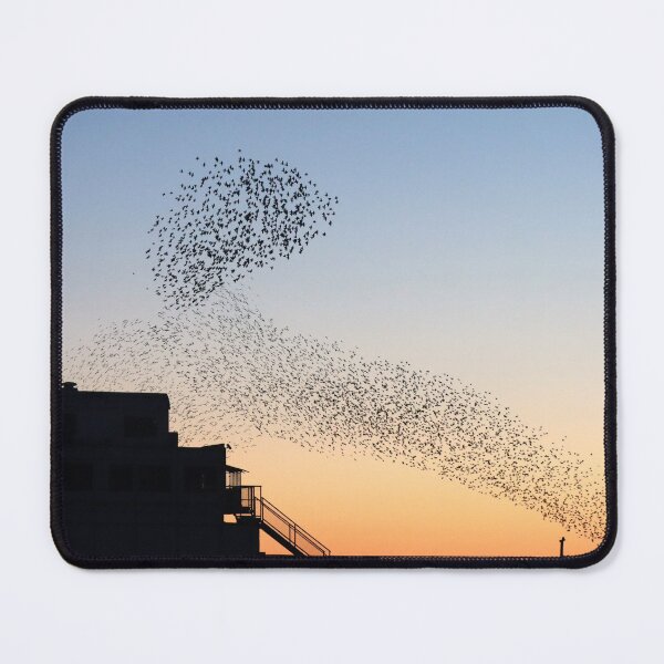 Item preview, Twisting murmuration designed and sold by GreyFeatherPhot.