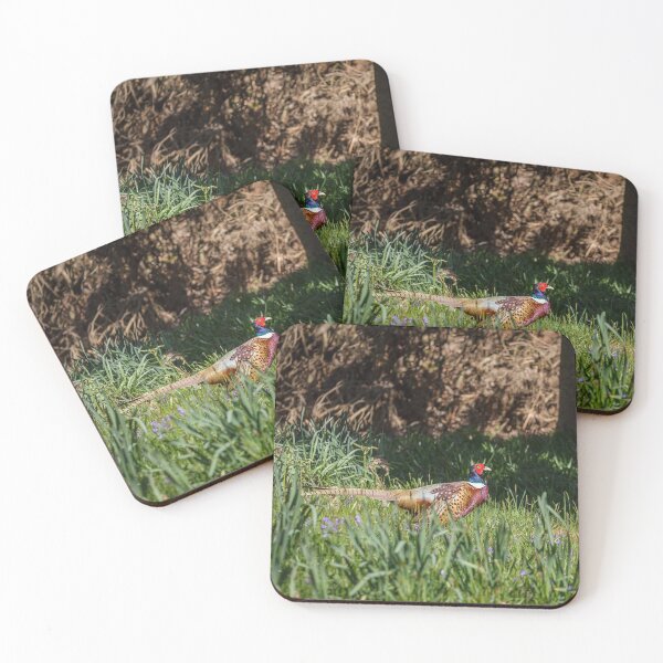 Item preview, Pheasant in the Bluebells designed and sold by heidipics.