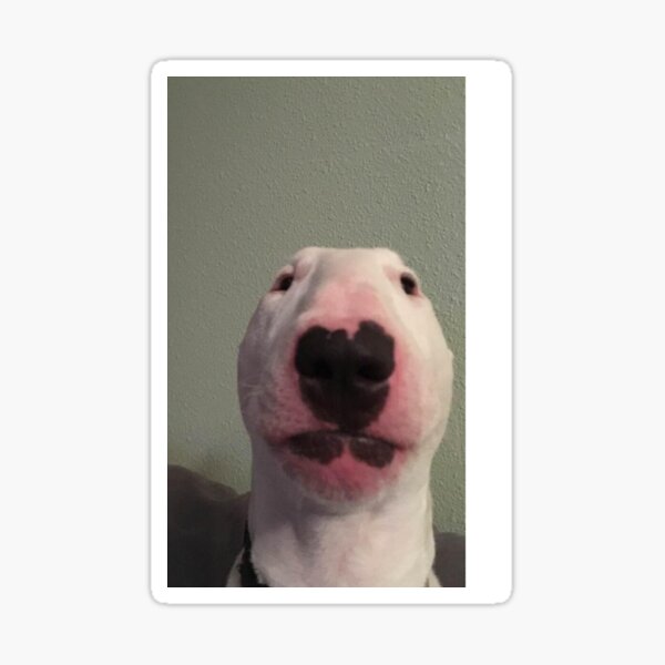 Item preview, Walter Meme designed and sold by Kerstinbeyer.