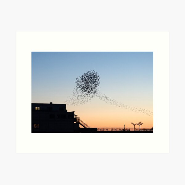 Vista previa del artículo con la obra «Espiral», diseñado y vendido por GreyFeatherPhot.