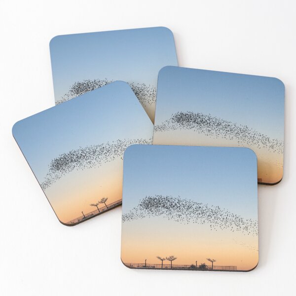 Item preview, Returning to roost designed and sold by GreyFeatherPhot.