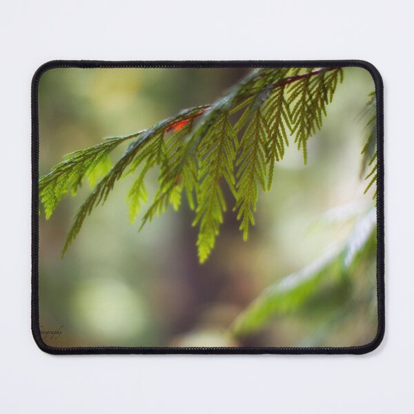Item preview, Pine Branch designed and sold by Yannik Hay.
