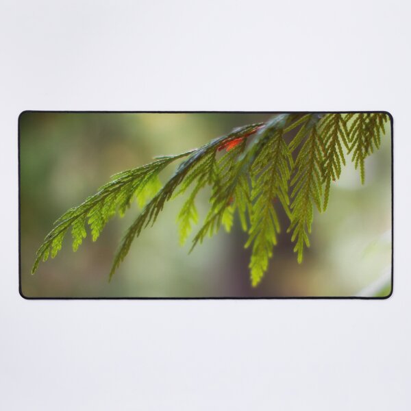 Item preview, Pine Branch designed and sold by Yannik Hay.