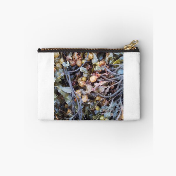 Item preview, Pop designed and sold by Becca Kirkpatrick.