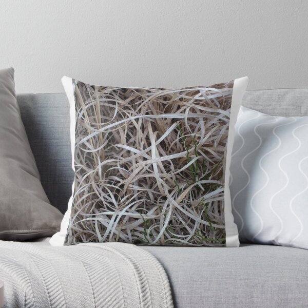 Dry Throw Pillow