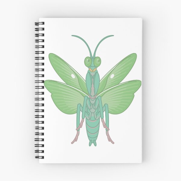 Item preview, Giant Rainforest Mantis - Hierodula majuscula designed and sold by TheFrogWrangler.