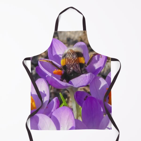 Item preview, Funny bumblebee stretches buttocks and legs up and looks for pollen in a purple crocus designed and sold by sopfanna.