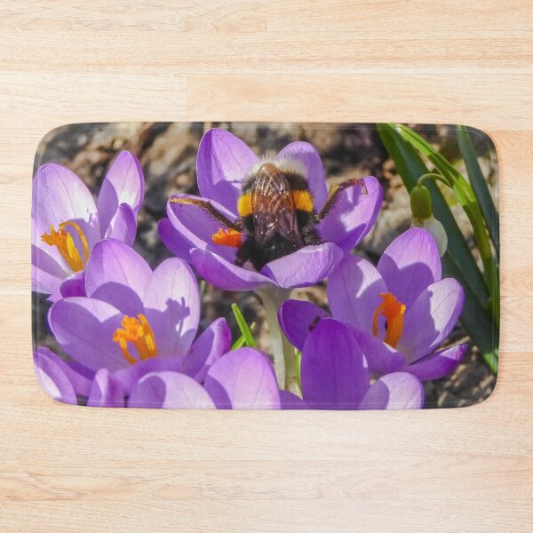 Item preview, Funny bumblebee stretches buttocks and legs up and looks for pollen in a purple crocus designed and sold by sopfanna.