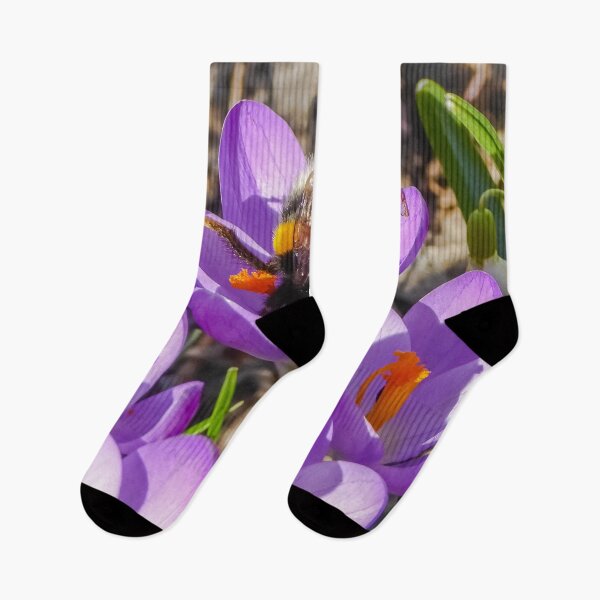 Item preview, Funny bumblebee stretches buttocks and legs up and looks for pollen in a purple crocus designed and sold by sopfanna.
