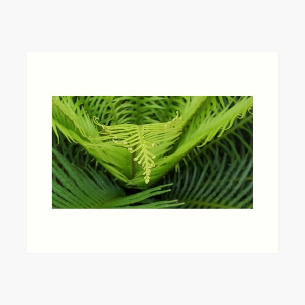 Item preview, Frond designed and sold by Becca Kirkpatrick.