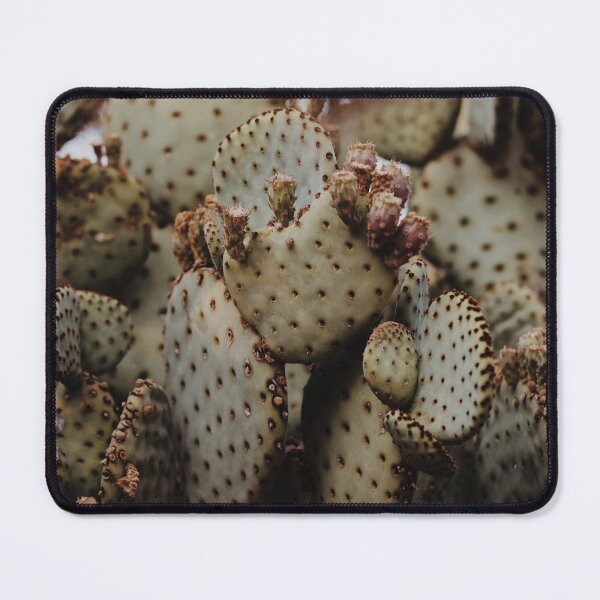 Item preview, Cactus Art designed and sold by aariv.