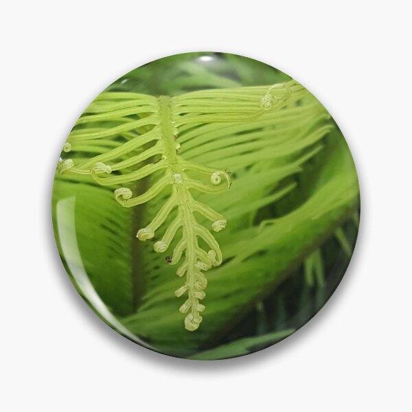 Item preview, Frond designed and sold by Becca Kirkpatrick.