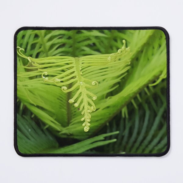 Item preview, Frond designed and sold by Becca Kirkpatrick.