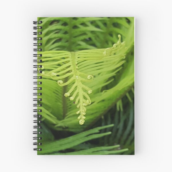 Item preview, Frond designed and sold by Becca Kirkpatrick.