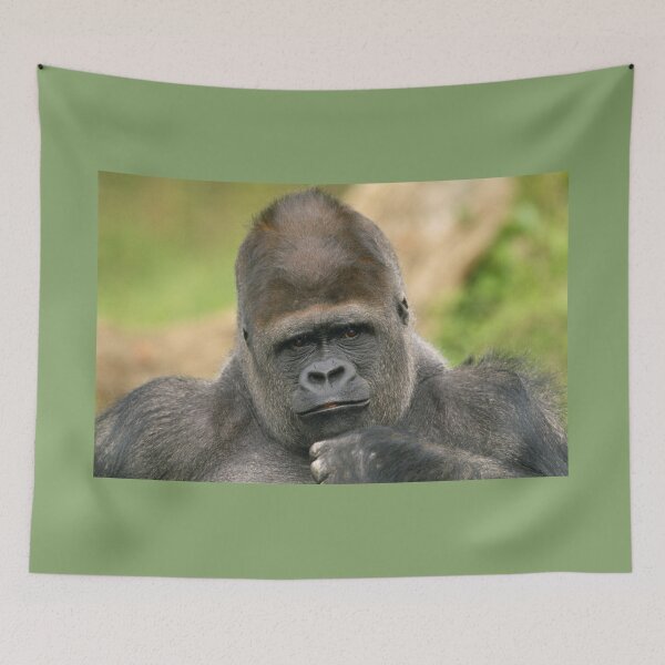 Item preview, Lowland Gorilla Thinking designed and sold by ScienceSource.