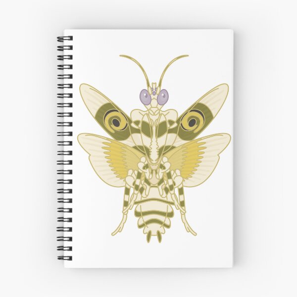 Item preview, Spiny Flower Mantis - Pseudocreobotra wahlbergi designed and sold by TheFrogWrangler.