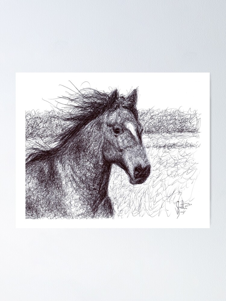 "Horse Drawing Poster Realistic Scribble Art Sketch with a Ballpoint