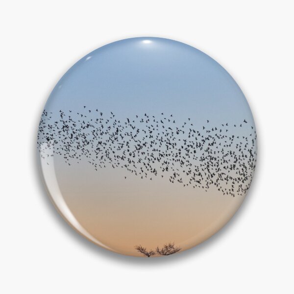 Item preview, Starling traffic jam designed and sold by GreyFeatherPhot.