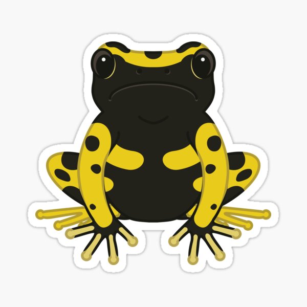 Item preview, Bumblebee Poison Dart Frog - Dendrobates leucomelas designed and sold by TheFrogWrangler.