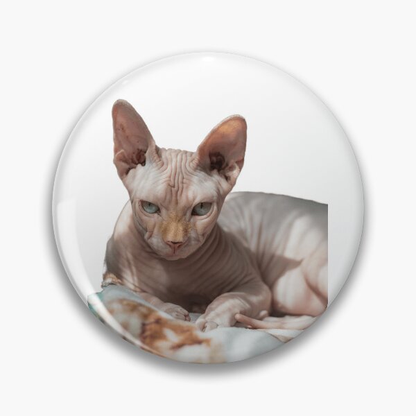 Item preview, Grumpy Sphinx cat sticker gift for cat lovers gift for cat owners  designed and sold by GhostAmine.