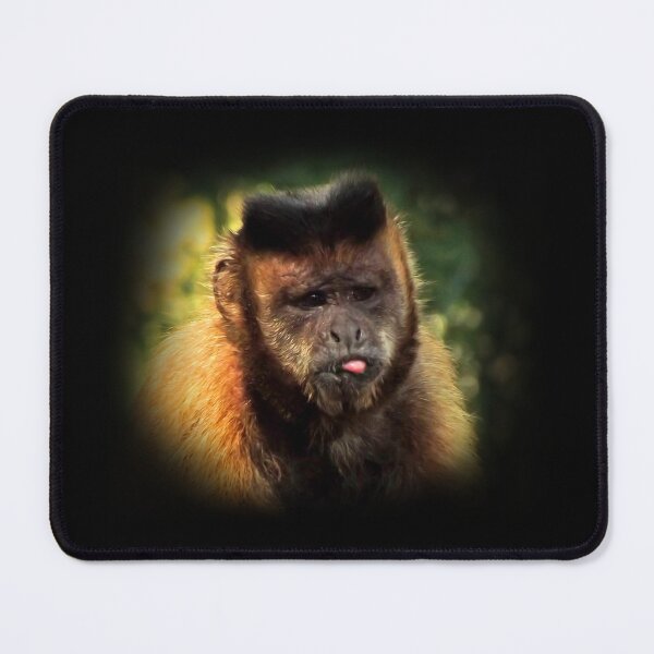 Item preview, Tufted capuchin designed and sold by Guardi71.