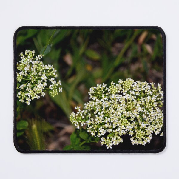 Item preview, yabur bloom designed and sold by MoreGoodArt.